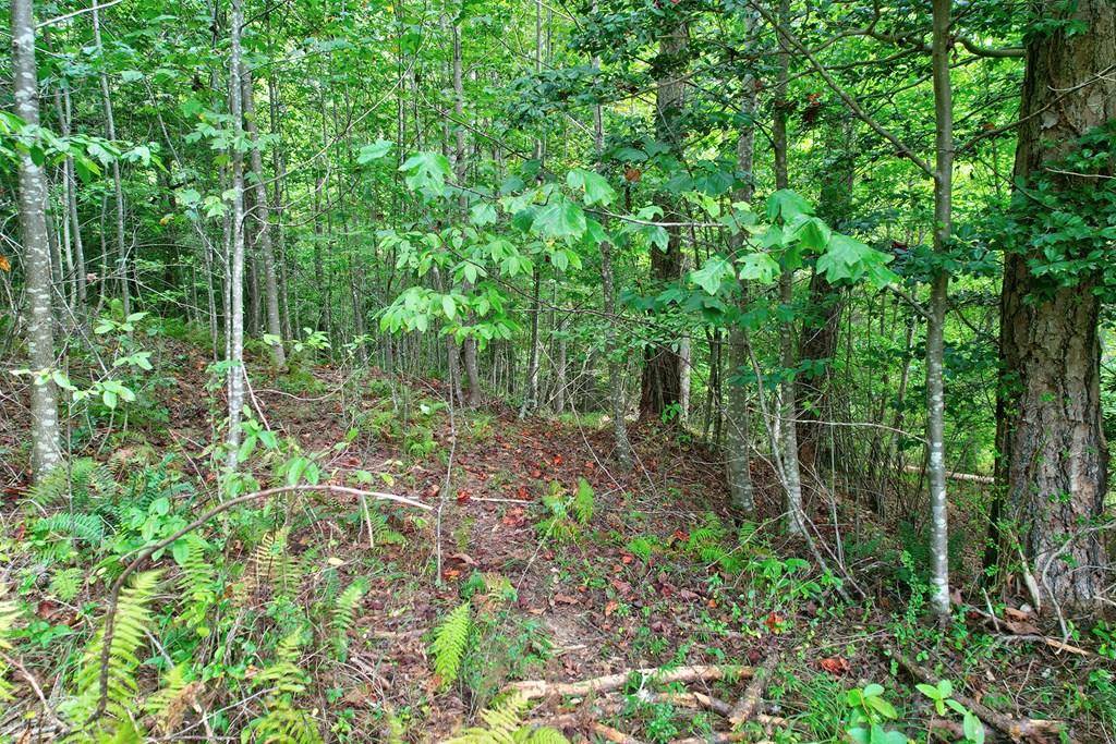 Blue Ridge, GA 30513,Lot 73 River Ridge