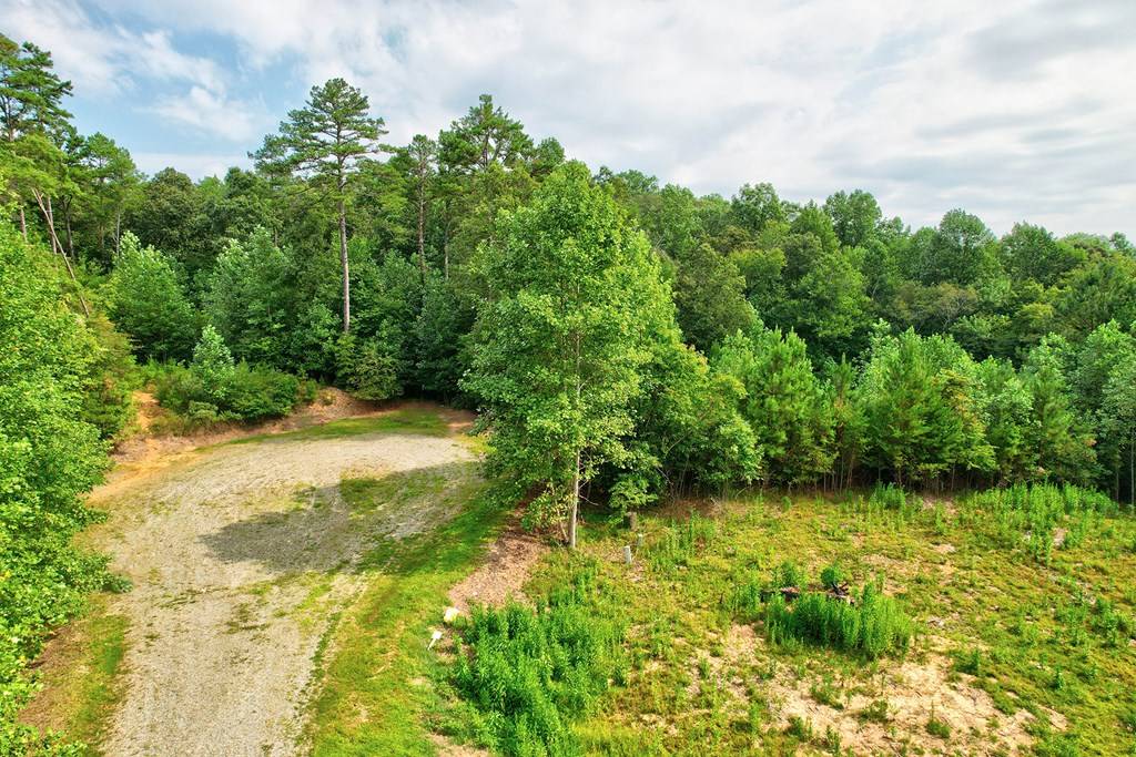 Blue Ridge, GA 30513,Lot 73 River Ridge