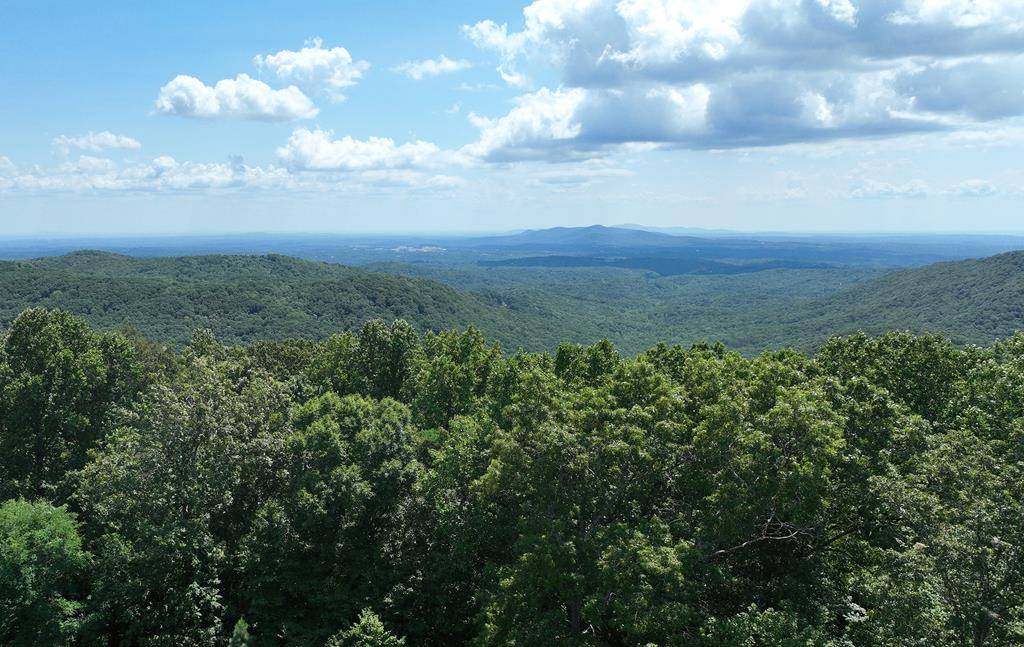 Ellijay, GA 30536,257 Andes Ridge