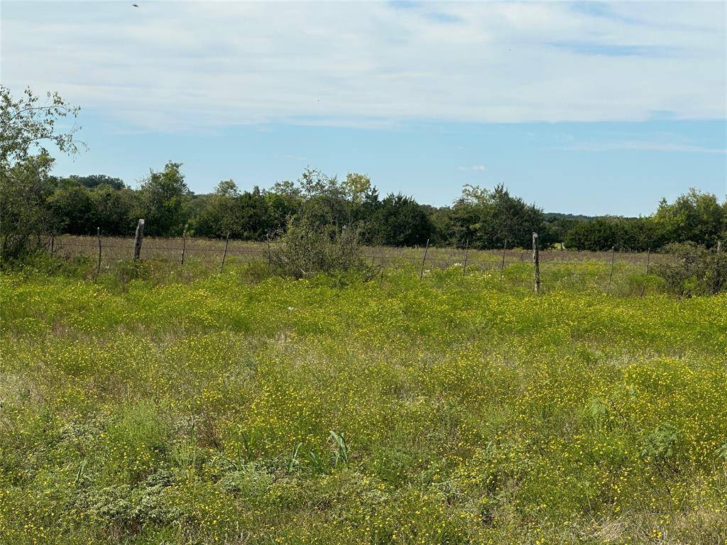 Gatesville, TX 76528,Tract 2 Old Pidcoke Road