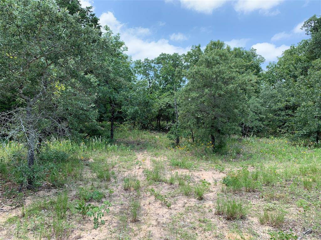 Athens, TX 75751,TBD Co. Rd. 1503