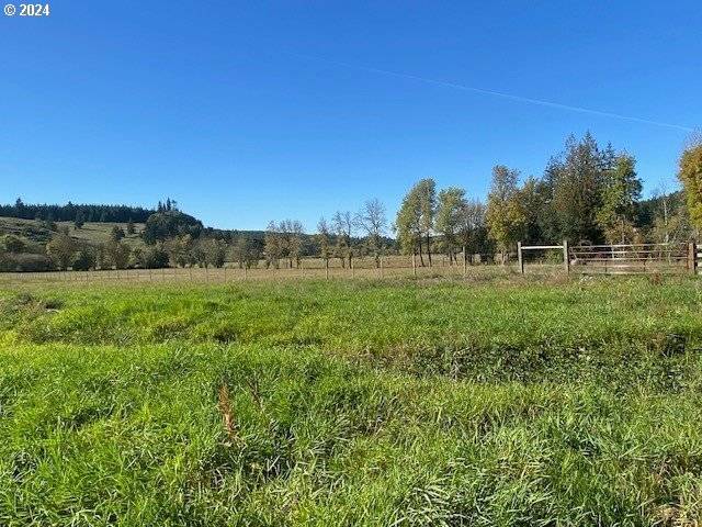 Adna, WA 98522,951 PLEASANT VALLEY RD