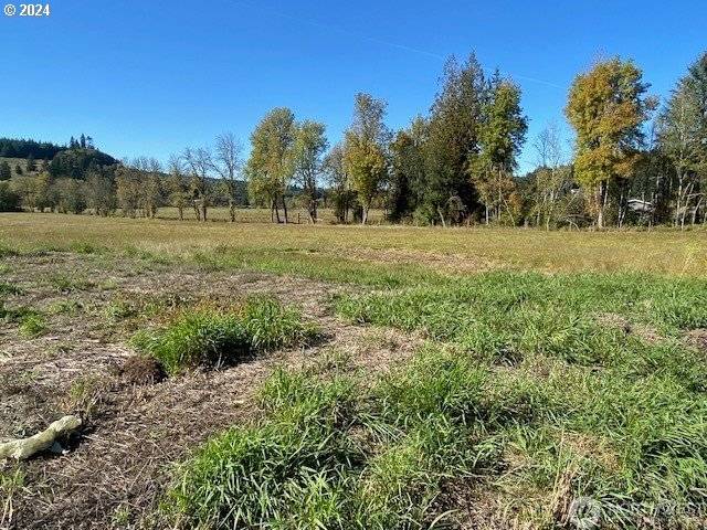 Adna, WA 98522,955 PLEASANT VALLEY RD