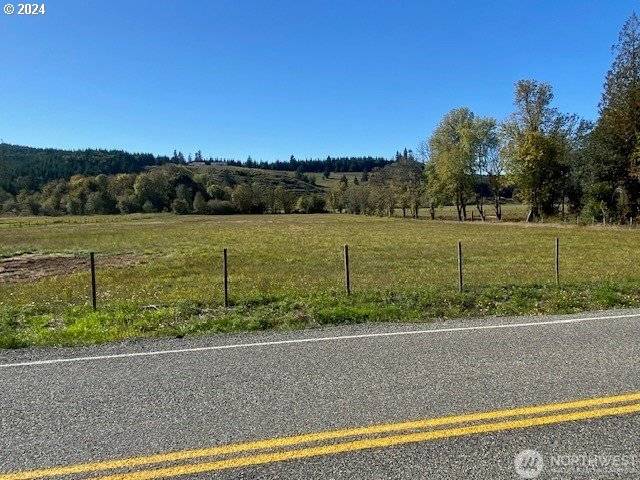 Adna, WA 98522,955 PLEASANT VALLEY RD