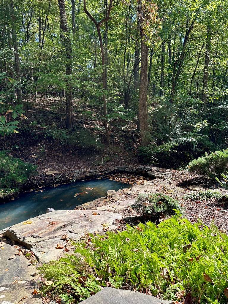 Talking Rock, GA 30175,Lot 27 Mountain Creek Hollow Drive