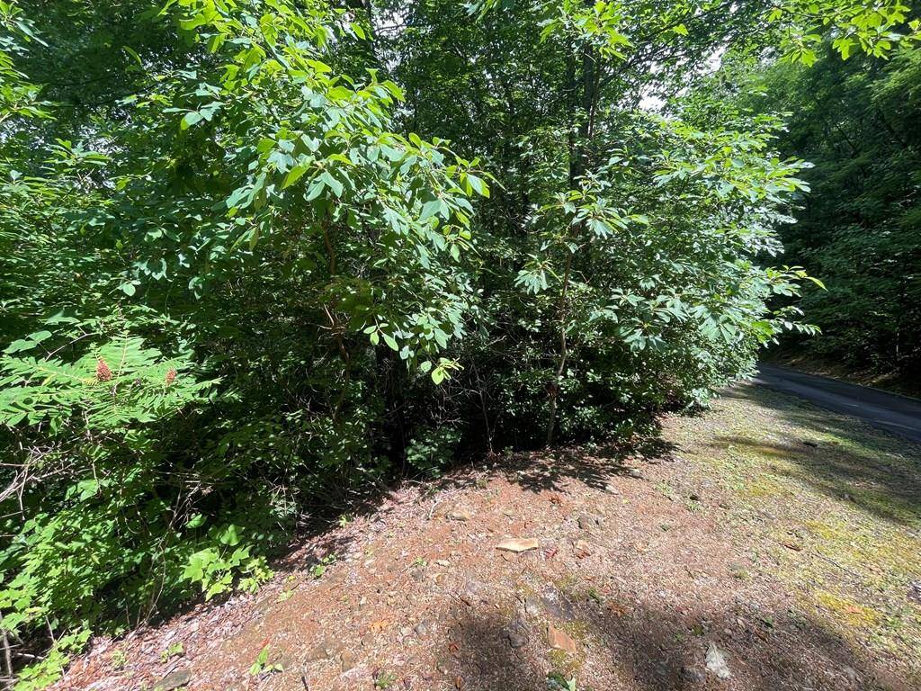 Hiawassee, GA 30546,7124 Tantrough Road