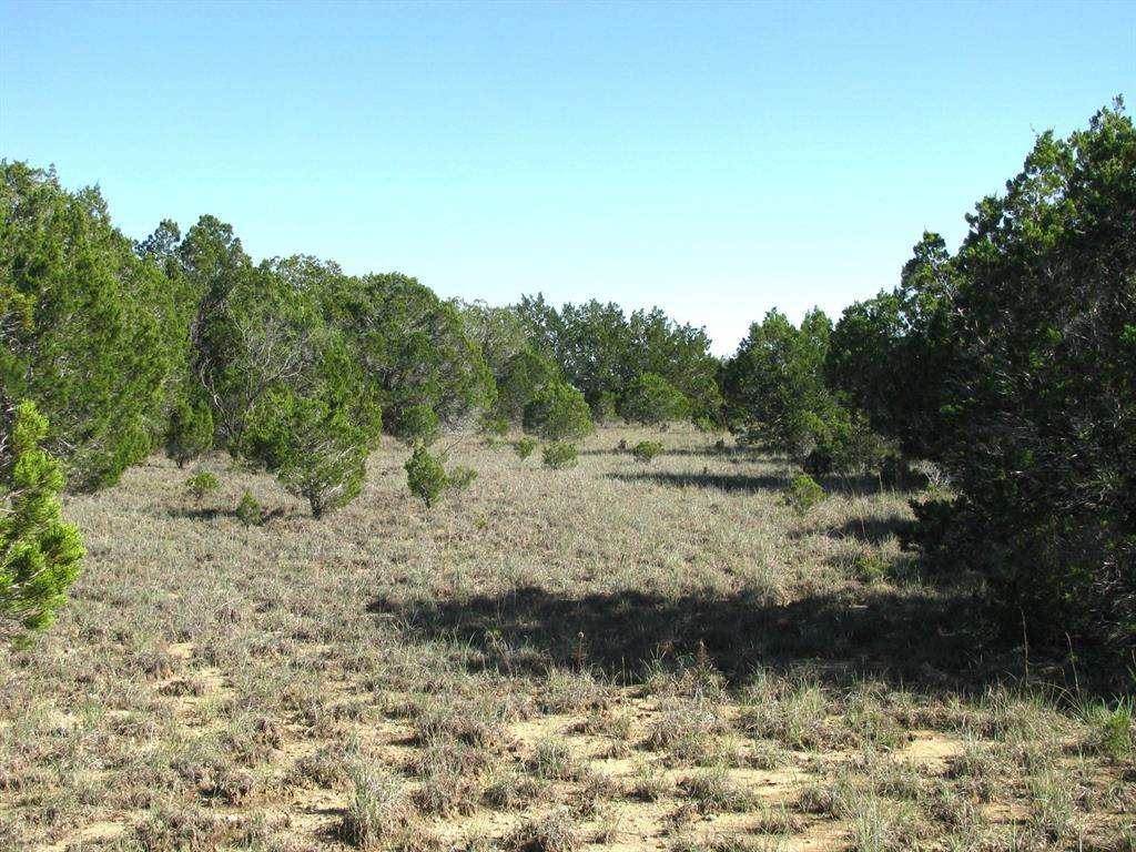 Purmela, TX 76566,Tract 2 County Road 182