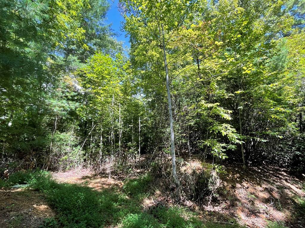 Hayesville, NC 28904,Lot 43 Fires Creek Cove Road