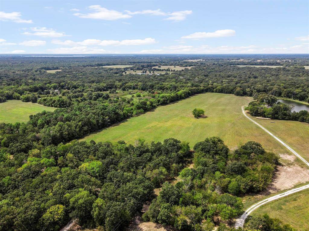 Yantis, TX 75497,TBD 126 Acres County Road 1195