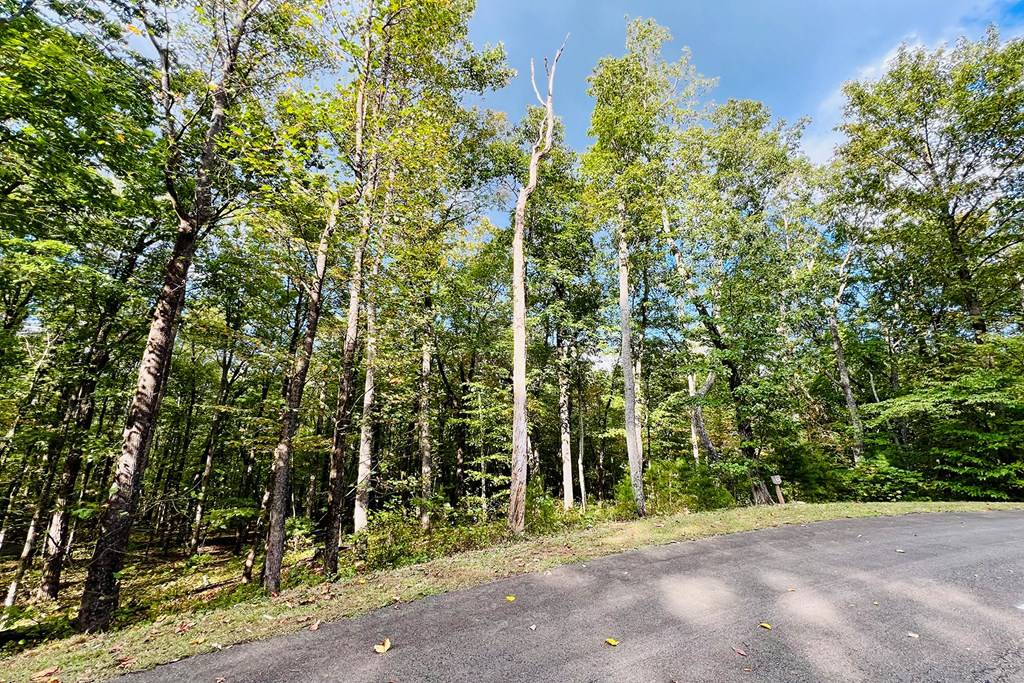 Ellijay, GA 30536,Lot 162 Trailwood Drive