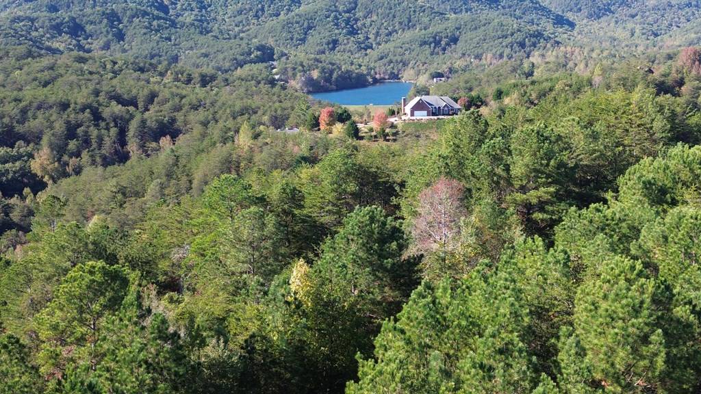 Turtletown, TN 37391,LT 16 Skyline Drive