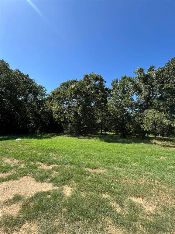 Boyd, TX 76023,102 Dove Meadow Lane