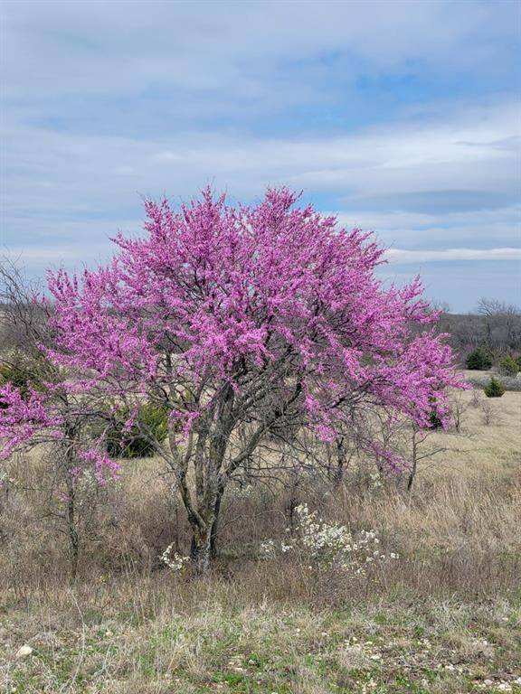 Saint Jo, TX 76265,1857 Fm-677