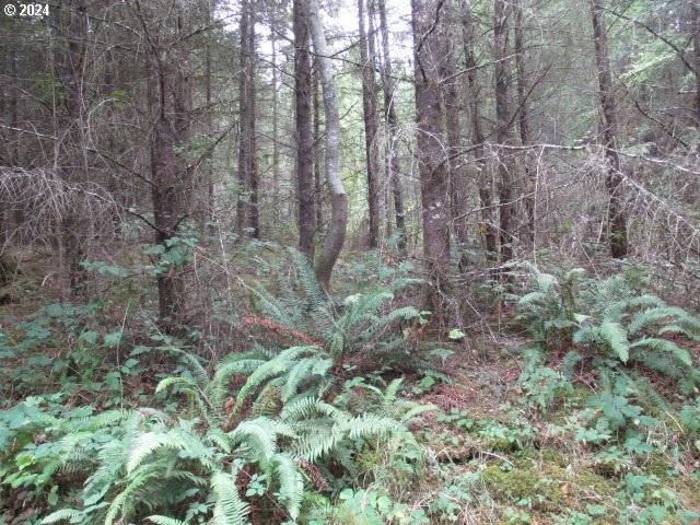 Lebanon, OR 97355,0 Bellinger Scale (1) RD