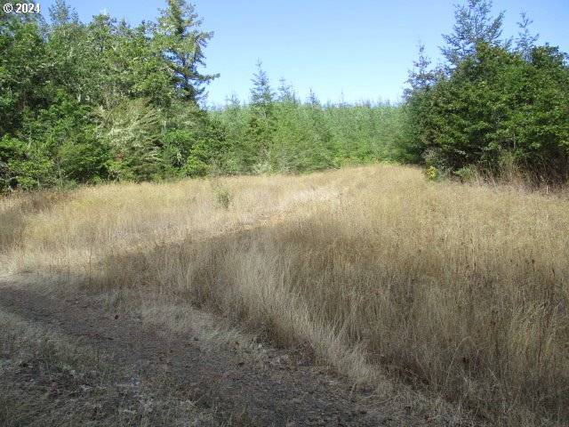 Lebanon, OR 97355,0000 Bellinger Scale RD