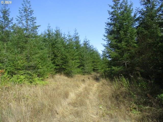 Lebanon, OR 97355,0000 Bellinger Scale RD