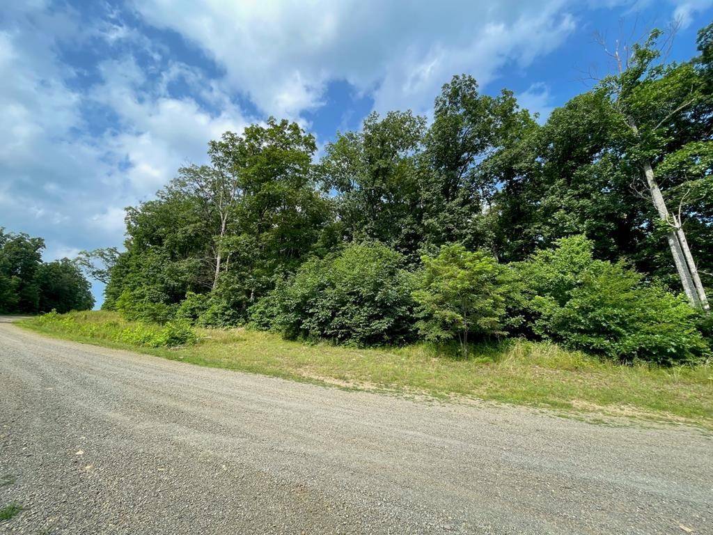 Ararat, VA 24053,TBD Falcon Ridge Road