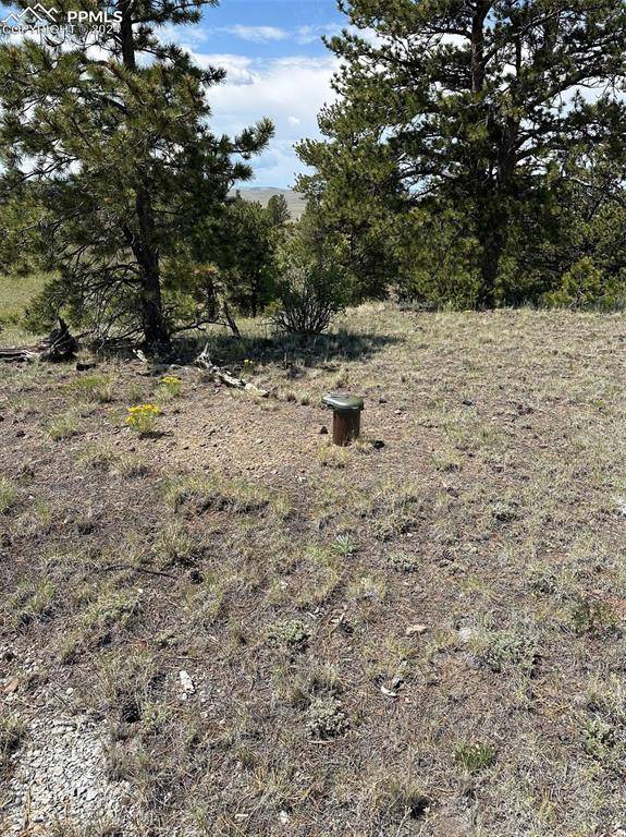 Hartsel, CO 80449,Lot 25 Wolfe RD