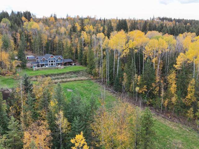 1033 BOHILL PLACE, Clearwater, BC