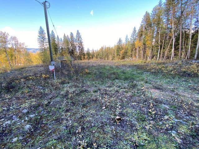 450 DUNN LAKE RD, Clearwater, BC V0E 1N0