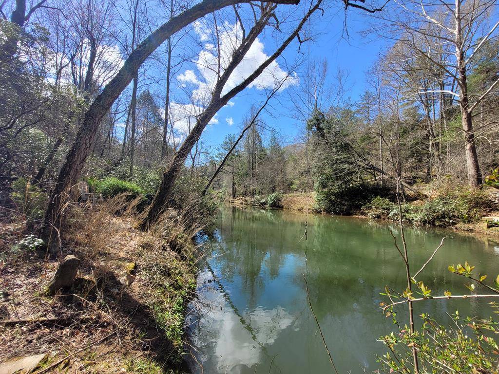 Dahlonega, GA 30533,Lot 107B Frogtown Place