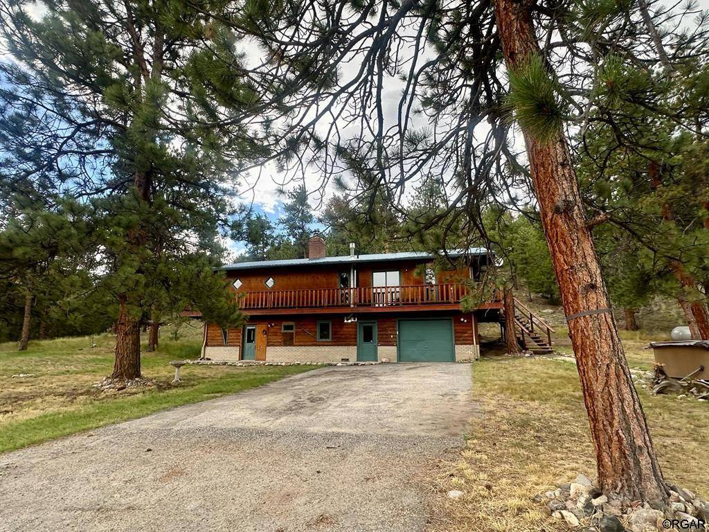 Nathrop, CO 81236,21501 Chalk Creek Drive