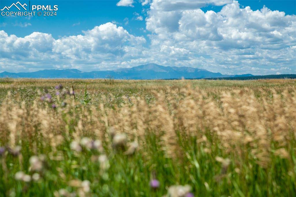 Peyton, CO 80831,14715 Tiboria LOOP