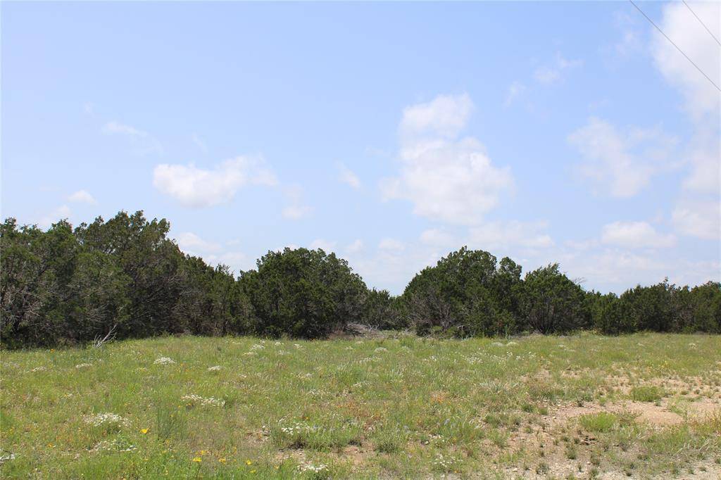 Jonesboro, TX 76538,TBD Private Road 16026