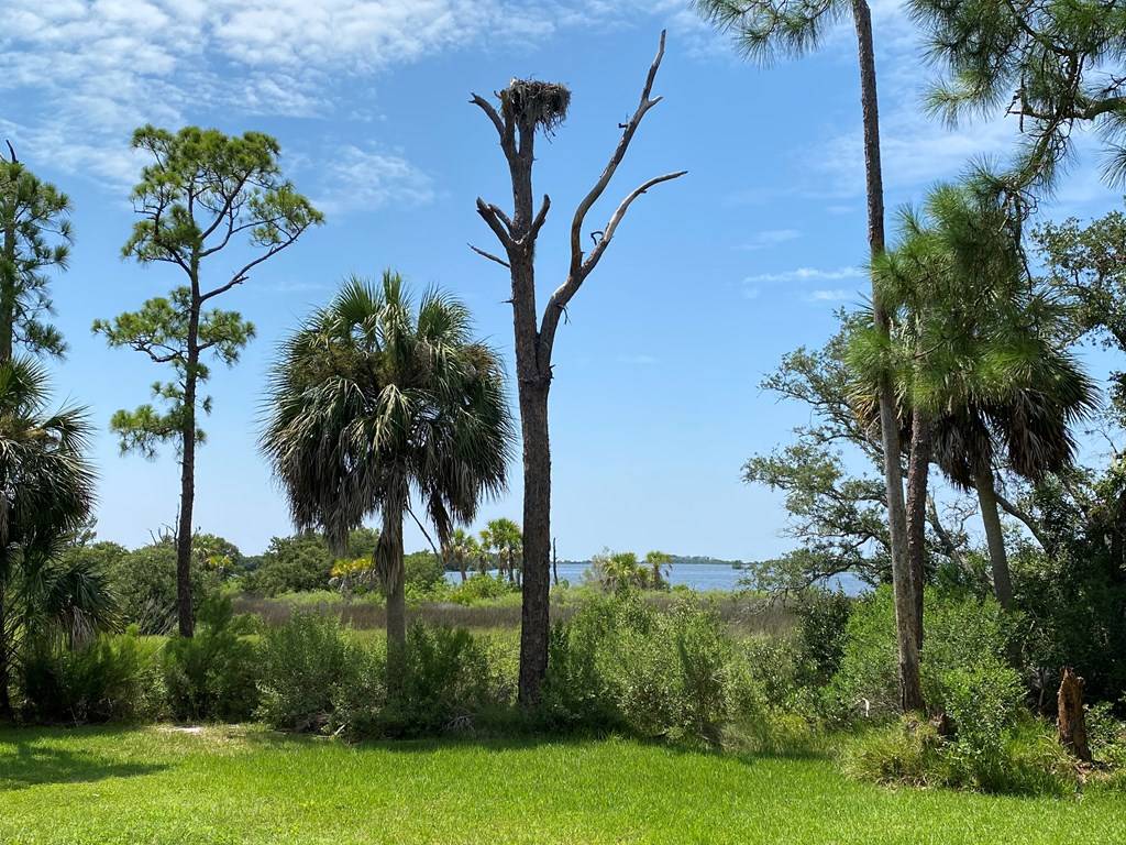 Cedar Key, FL 32625,Lot #21 Watson Cir