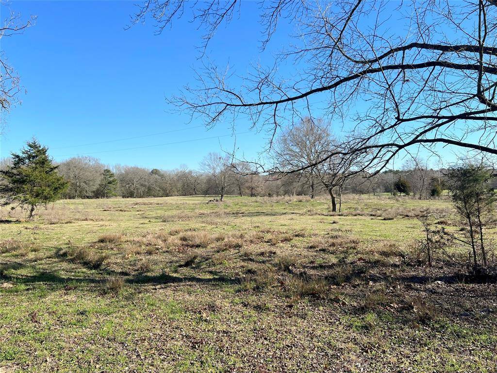 Leesburg, TX 75451,TBD County Rd 3426