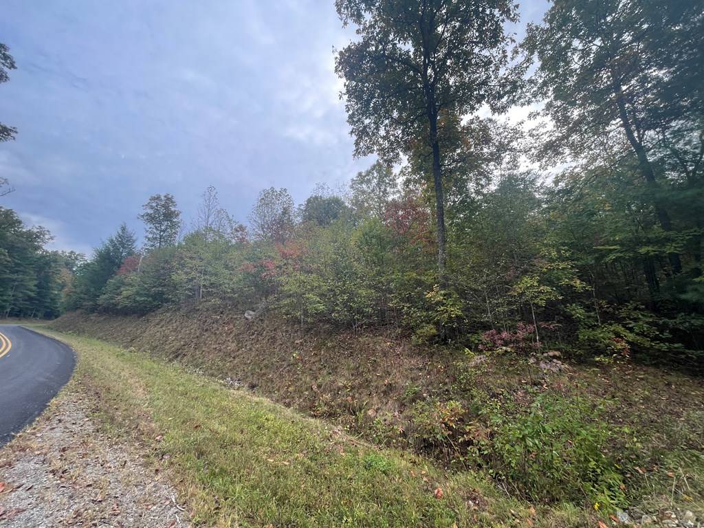 Murphy, NC 28906,0000 Camp Creek Road