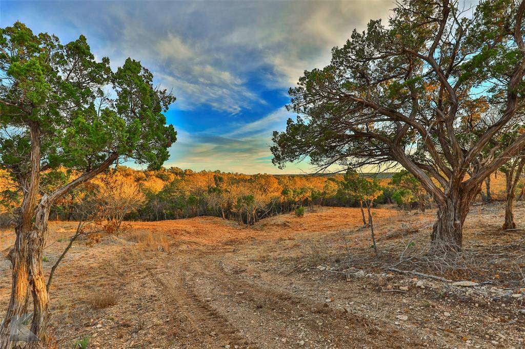 Tuscola, TX 79562,35 Acres County Road 322