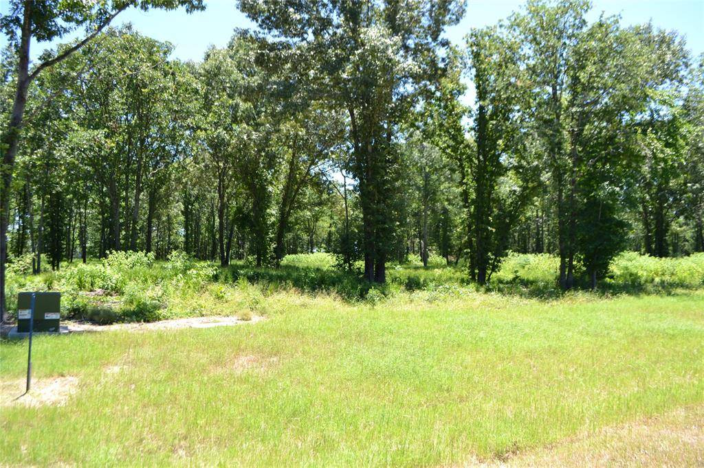 Yantis, TX 75497,Lot 36 Angler Shores Drive