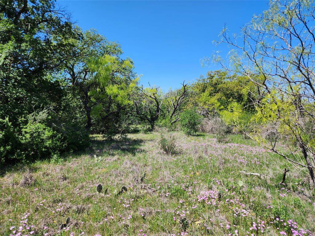 Brownwood, TX 76801,3869 Highway 279