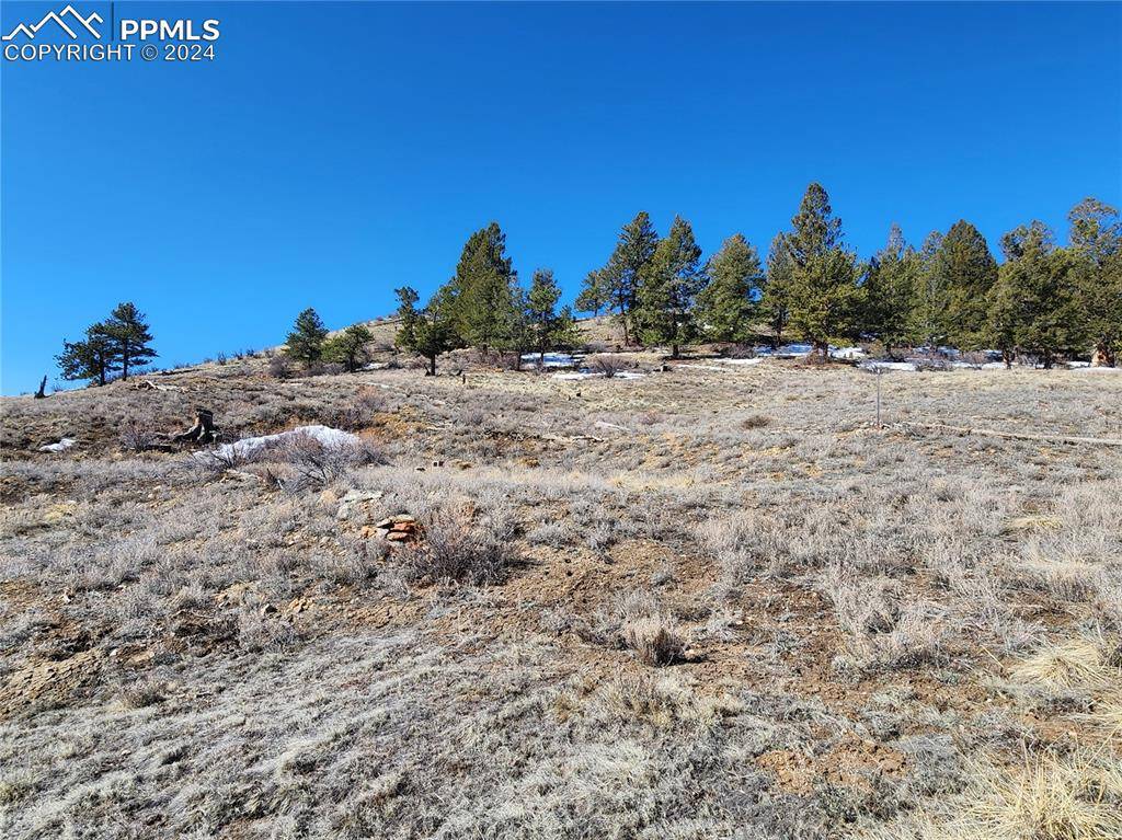 Hartsel, CO 80449,Spruce ST