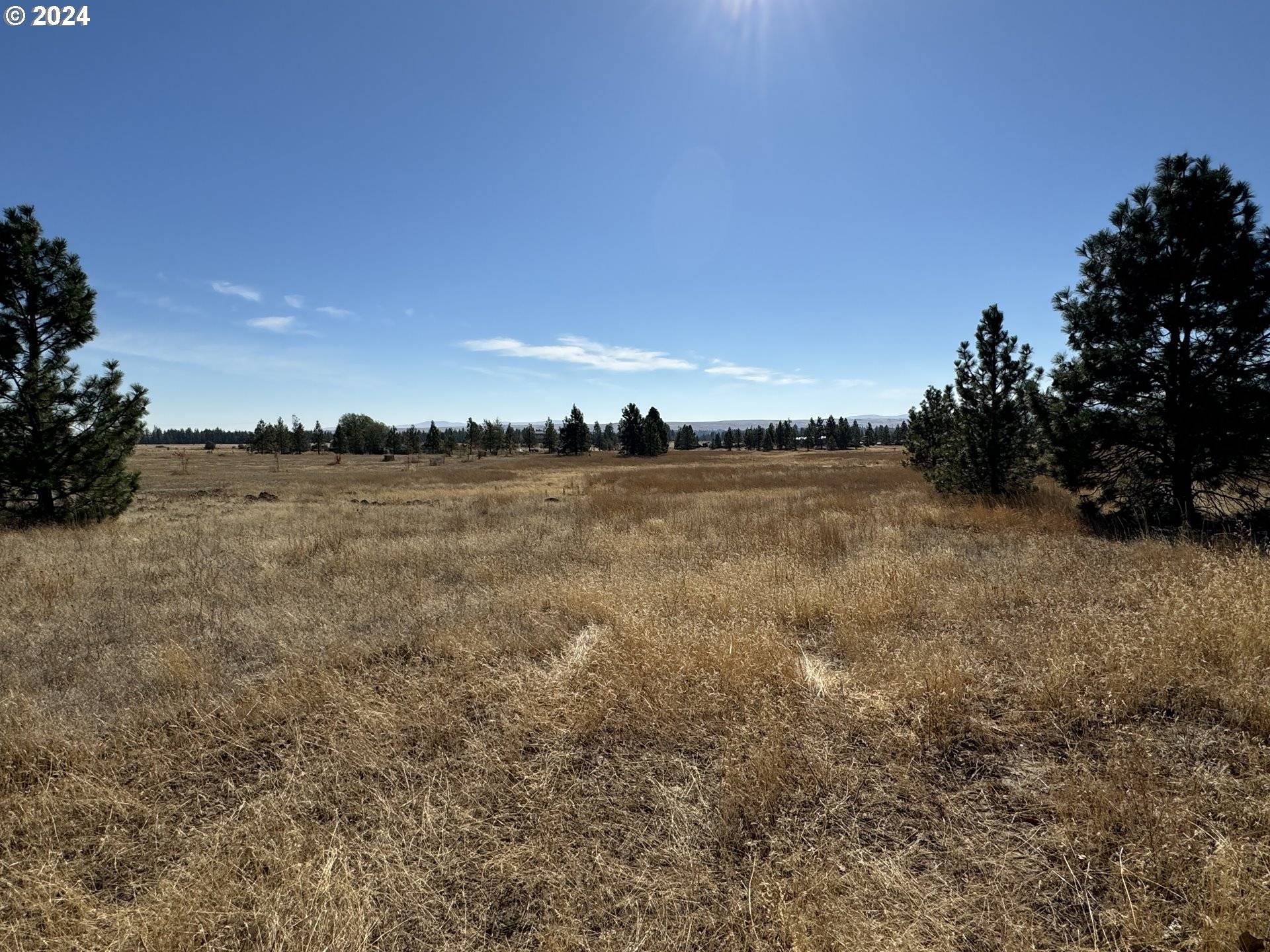 Goldendale, WA 98620,MT VIEW RANCH