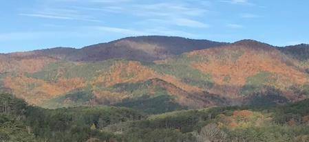 Murphy, NC 28906,Lot 197 Skyline View Drive