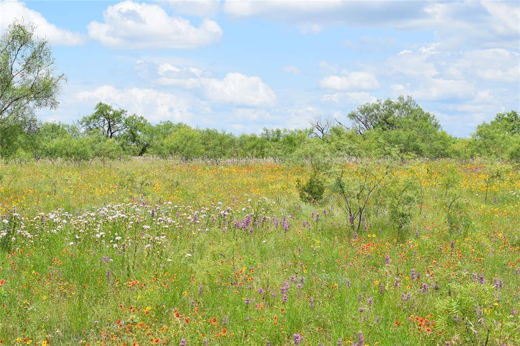 Bangs, TX 76825,TBD FM 586