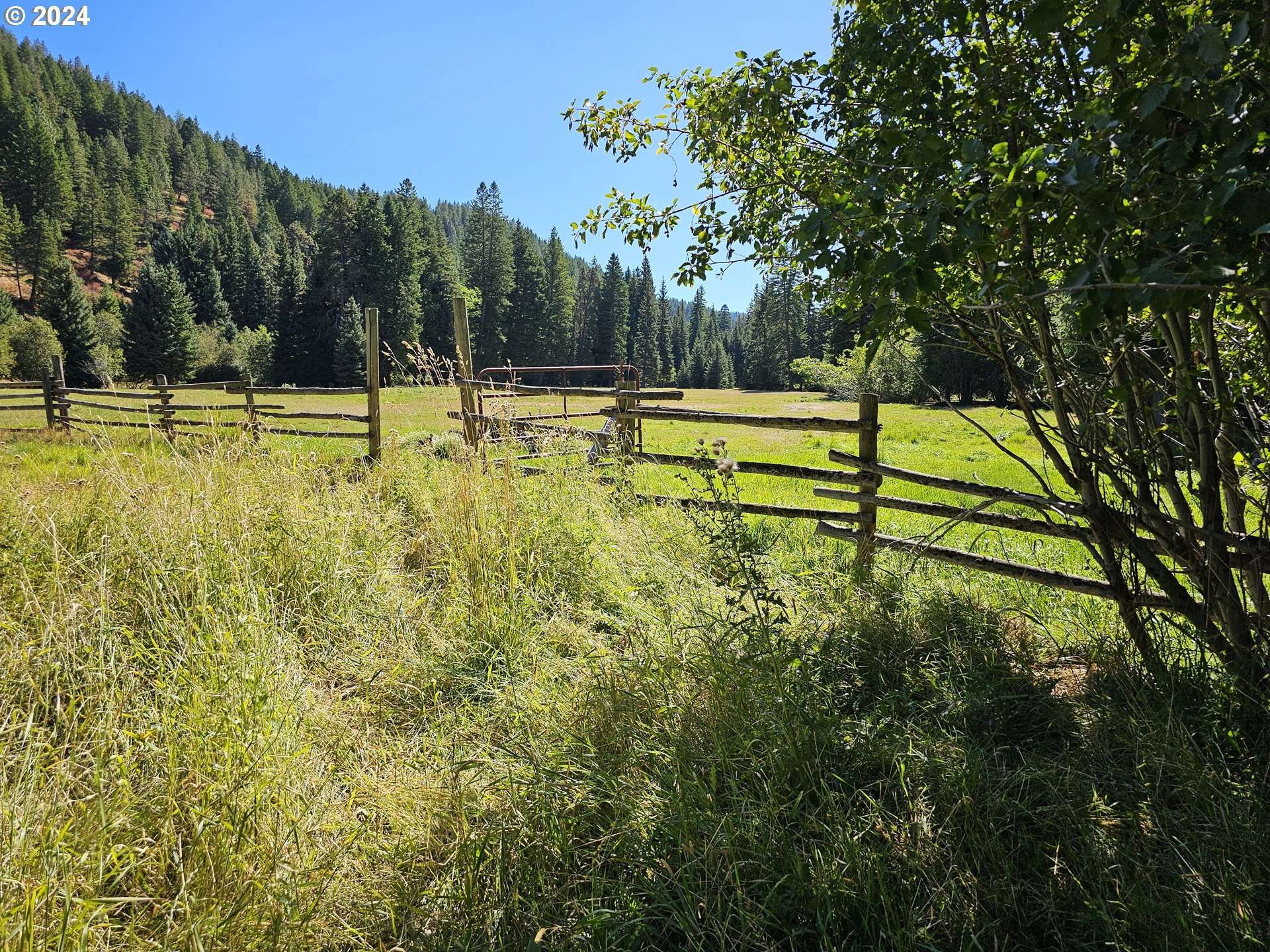 Joseph, OR 97846,61608 Wallowa Mtn Loop Rd.