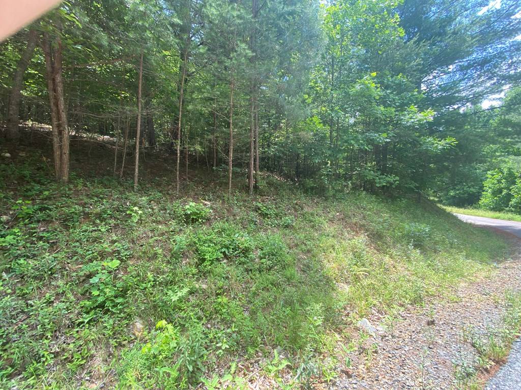 Murphy, NC 28906,00 Choctaw Ridge