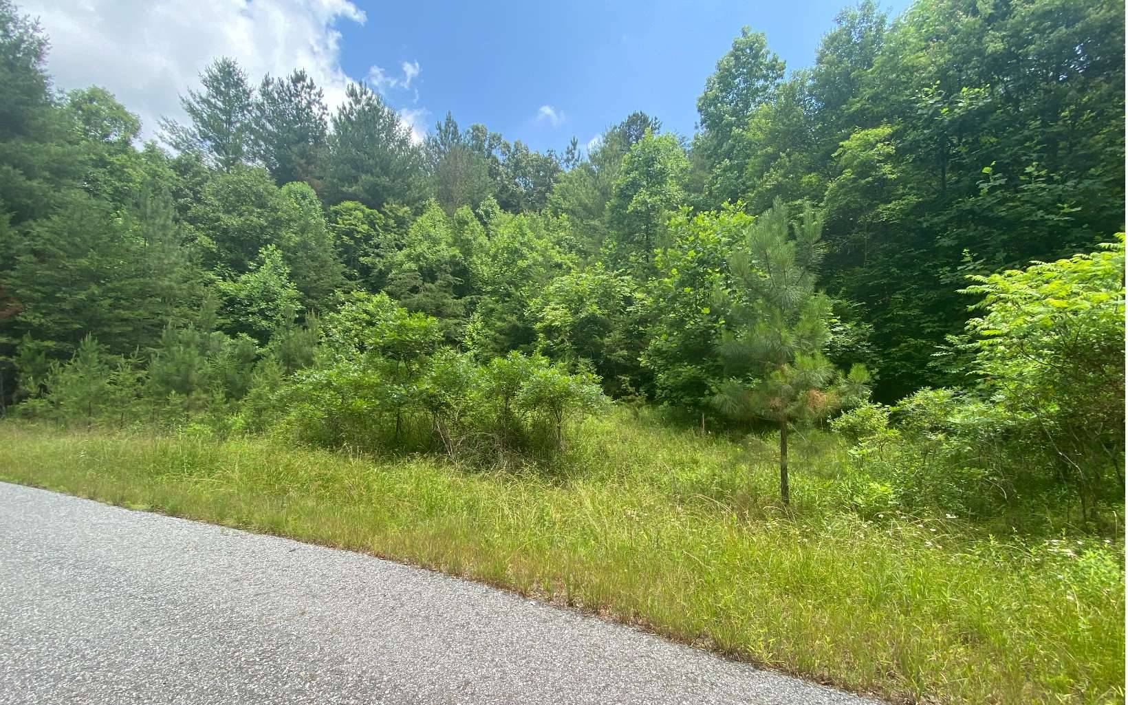 Murphy, NC 28903,LOT60 Choctaw Ridge Trail