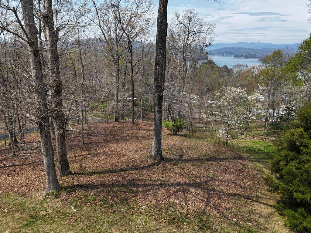 Hayesville, NC 28904,Lot 12 Chatuge Cove Drive