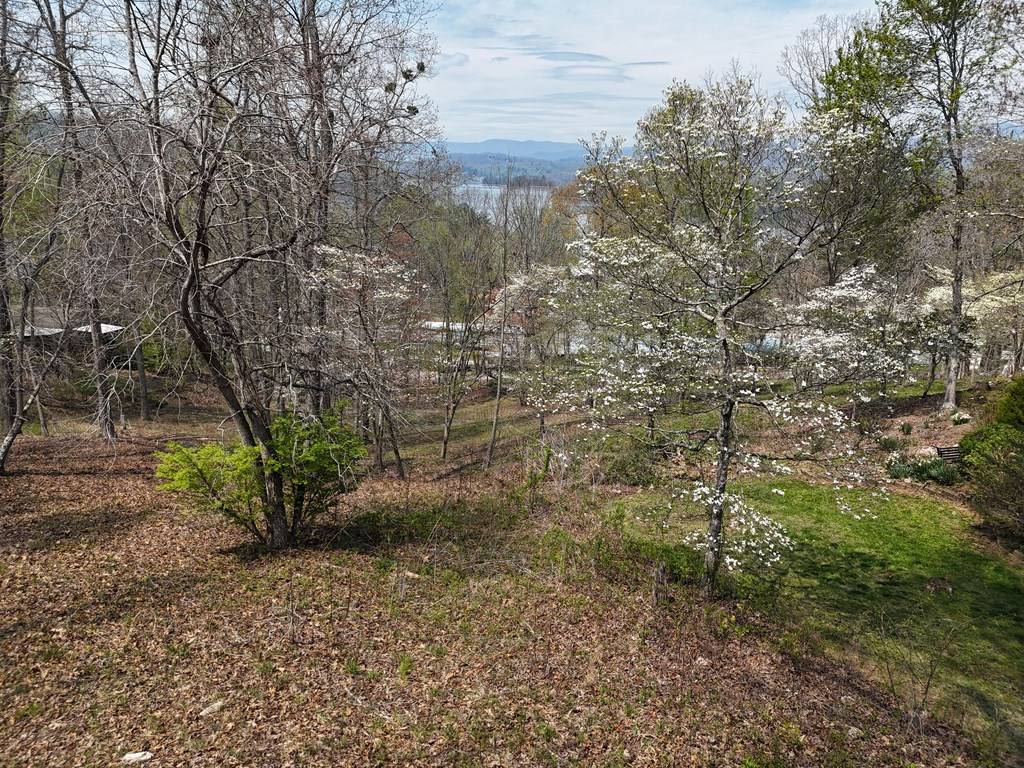 Hayesville, NC 28904,Lot 12 Chatuge Cove Drive