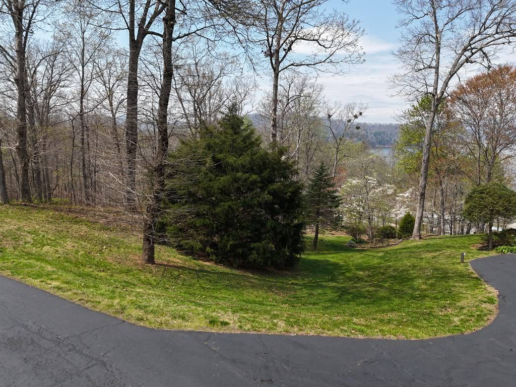 Hayesville, NC 28904,Lot 12 Chatuge Cove Drive