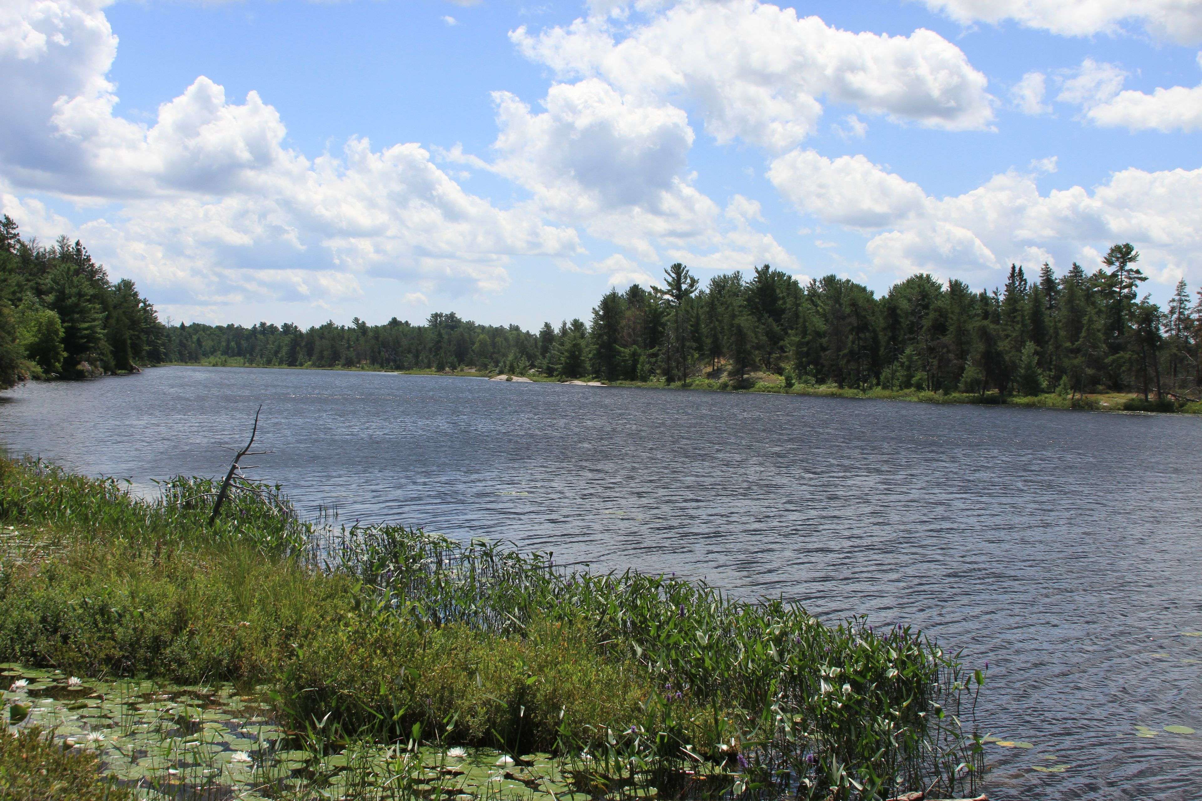 French River, ON P0M 1A0,Pt Lot 9 Highway 64 N/A