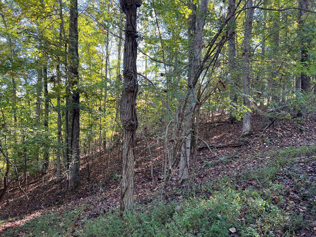 Hayesville, NC 28904,Lot 23 Tahlequah Ridge