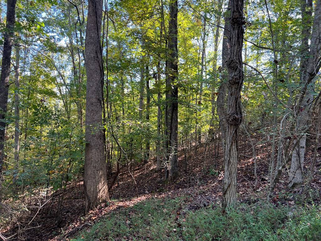 Hayesville, NC 28904,Lot 23 Tahlequah Ridge