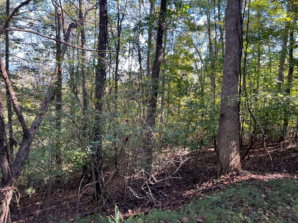 Hayesville, NC 28904,Lot 23 Tahlequah Ridge