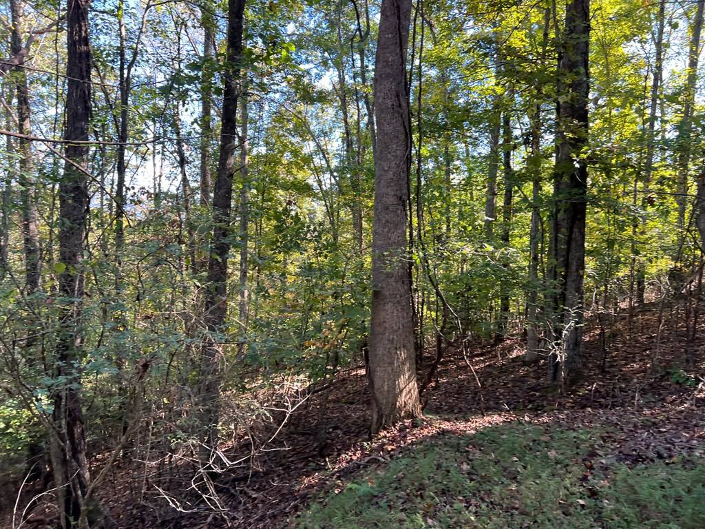 Hayesville, NC 28904,Lot 23 Tahlequah Ridge