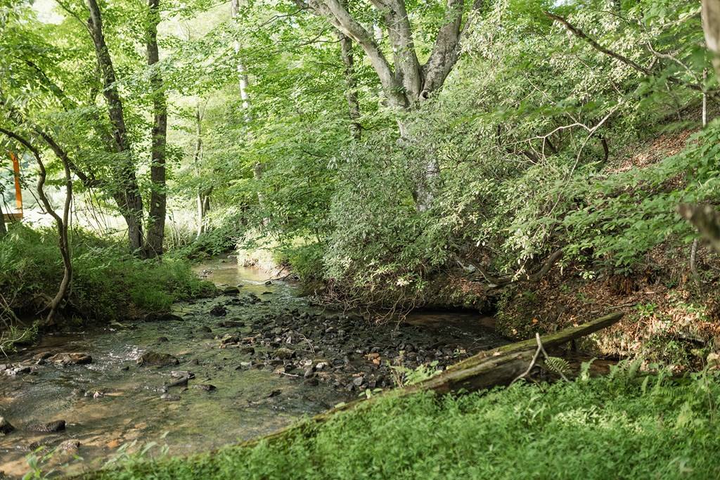 Cherry Log, GA 30522,328 Black Ankle Creek Road